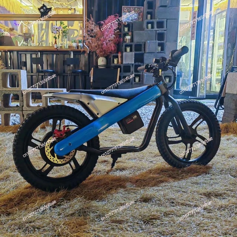 16 Inch Kids Electric Balance  - Balance Bike Kids ulasan dan harga