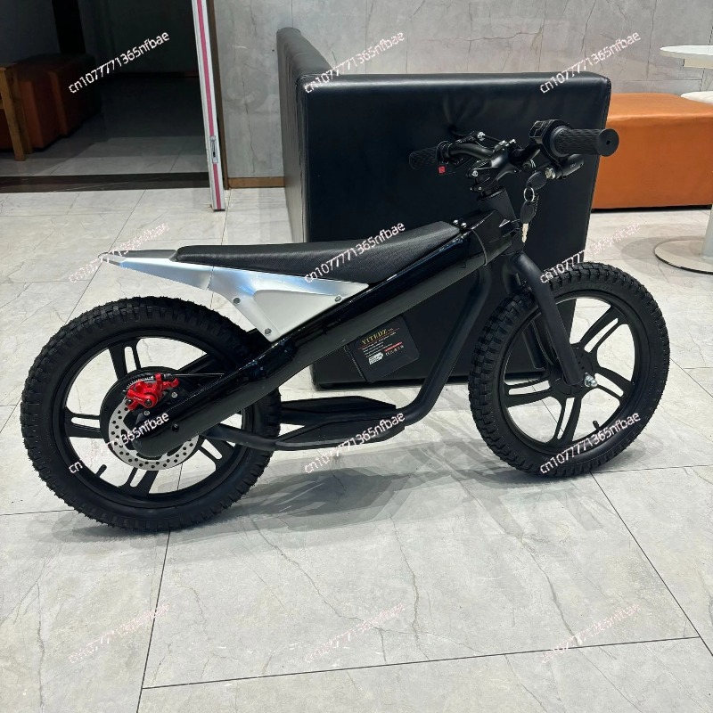 16 Inch Kids Electric Balance  - Balance Bike Kids ulasan dan harga